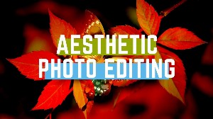 Aesthetic Photo editing_1584345407.jpg